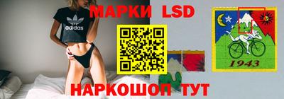 СК Рыбинск