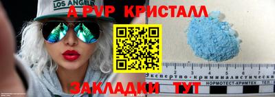 СК Рыбинск